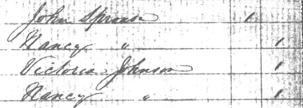 1856 US Census for Nancy Reddick Greer Johnson Sprouse