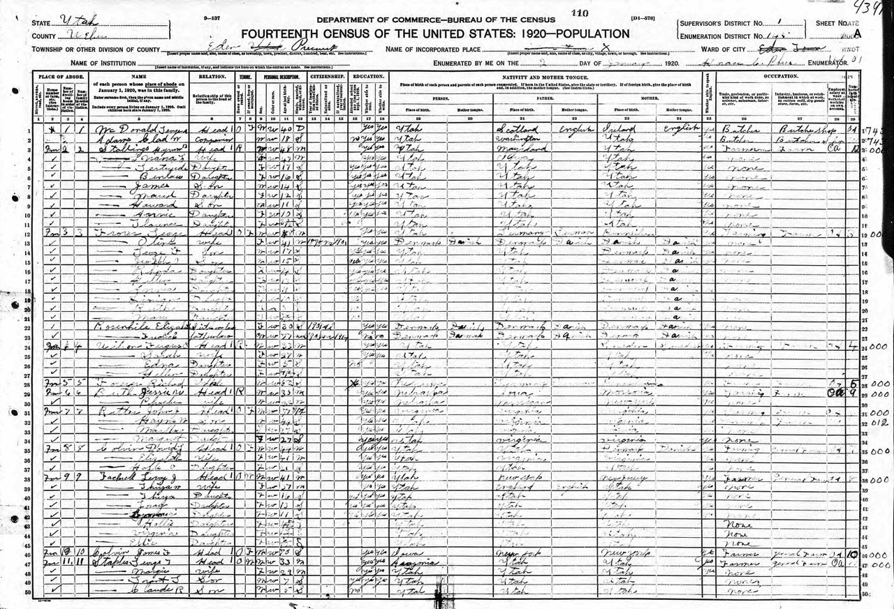 1920 US Census George T. Staples Household