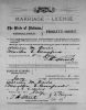 Marshall County, Alabama Probate Court Marriage License for William M. Davis and Martha E. Cranford