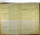 1877-1893 Sweden Household Census and the Family of Carl and Petronella Larsson