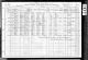 1910 US Census, Pine, Gila, Arizona