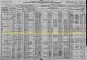 1920 US Census for Meakem Children in Kane Household