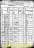 1880 US Census for Richard Samuel Millwood