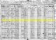 1920 US Census for Mitchel Reed