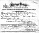 1911 Marriage License for Richard Stoddard and Signe L Danielson