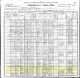 1900 US Federal Census and the Household of William and Luvina Spears
