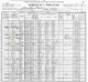 1900 United States Federal Census for the David Williamson Family