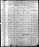 1880 United States Federal Census for Lusius, Mary, A.J. and Ashley Raynor