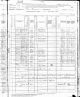 1880 US Census for Crit Williamson Household