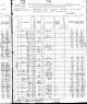 1880 US Census for Lorenzo Dow Young