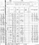 1880 US Census for Lorenzo Dow Young