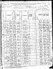 1880 United States Census for Dr. Alfred James Masecar and family