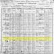 1900 U.S. Census for Louis and Lena Grossman