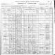 1900 US Census for Ptolemy Virgil Irvin II