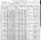 1900 US Census for Willliam Montgomery Irvin