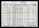 1930 Census of Springville, Utah 