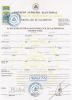 Luciano Torrez Astorga Certified Birth Certificate