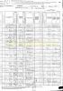 1880 United States Census for Minnie Holland