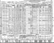 Nicholas Nicolaides 1940 U.S. Census Record.  Married to Calliope.