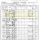 1900 United States Census for Theophilus Harrison and his Family