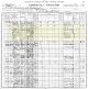 1900 United States Census for Theophilus Harrison and his Family