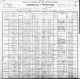1900 US Census for Albert and Irene Raynor