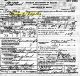 1925 Michigan Death Record for Mary Elizabeth Ashton Taylor