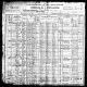 1910 United States Census for Tebe and Emma Barrow, their children and Frank Barrow (Tebe's father).  Albert CASTELL also was living with them as a boarder.