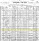 1900 US Census for Jasper P Bird Household