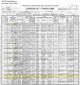 1900 US Federal Census and the Family of Heber and Louisa Blackburn
