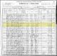 1900 US Federal Census and the Household of A F and Ada Carlson