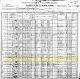 1900 US Federal Census and the Household of Joseph and Sylvia Cook
