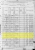 1880 Census for George Peter Pectol and Annina Conradina Peterson Pectol