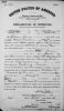1908 Declaration of Intent to Naturalize for Julius Huck