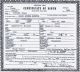 Birth Certificate for Isaac Andrew Houston