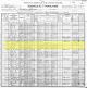 1900 US Census for Margaret Lucinda [Reed] Millwood