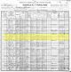 1900 US Census for Margaret Lucinda [Reed] Millwood