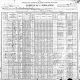 1900 United States Federal Census for the Milton Taylor Family