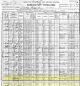1900 US Census of Martin T Steadman Household