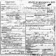 1916 Death Certificate of Agnes Katherine Stelter