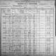 1900 US Census for Alroy Alexander Wilkins