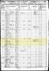 1850 US Federal Census and the Household of James and Mary Young