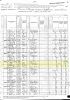 1880 US Federal Census and the Household of Joseph and Abby Young