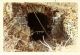 Brewery cave