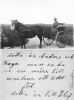 Anders Anderson and his horse Freda in Sweden