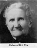 Rebecca Bird Tew