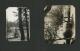 Cleofa Elizabeth Polly Album