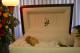 edwards-bessie-funeral-DSC_0230.JPG