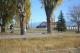 edwards-home-last-pictures-album-0017.JPG