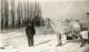 harry_bernard_muehlen_horse_winter.jpg